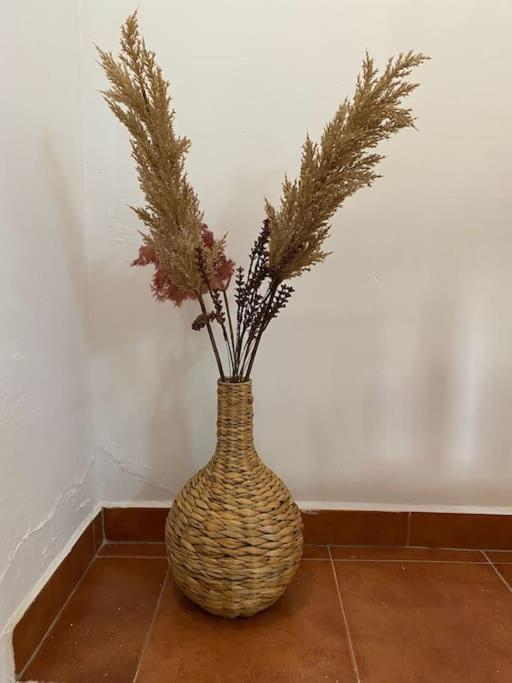 Castle House Xativa Apartment ภายนอก รูปภาพ